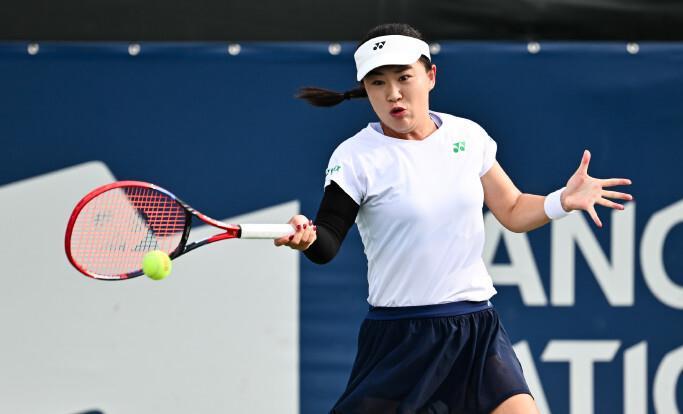 场上的一匹 场上的一匹